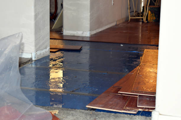 Professional Water Damage Restoration technician working in Moclips, WA